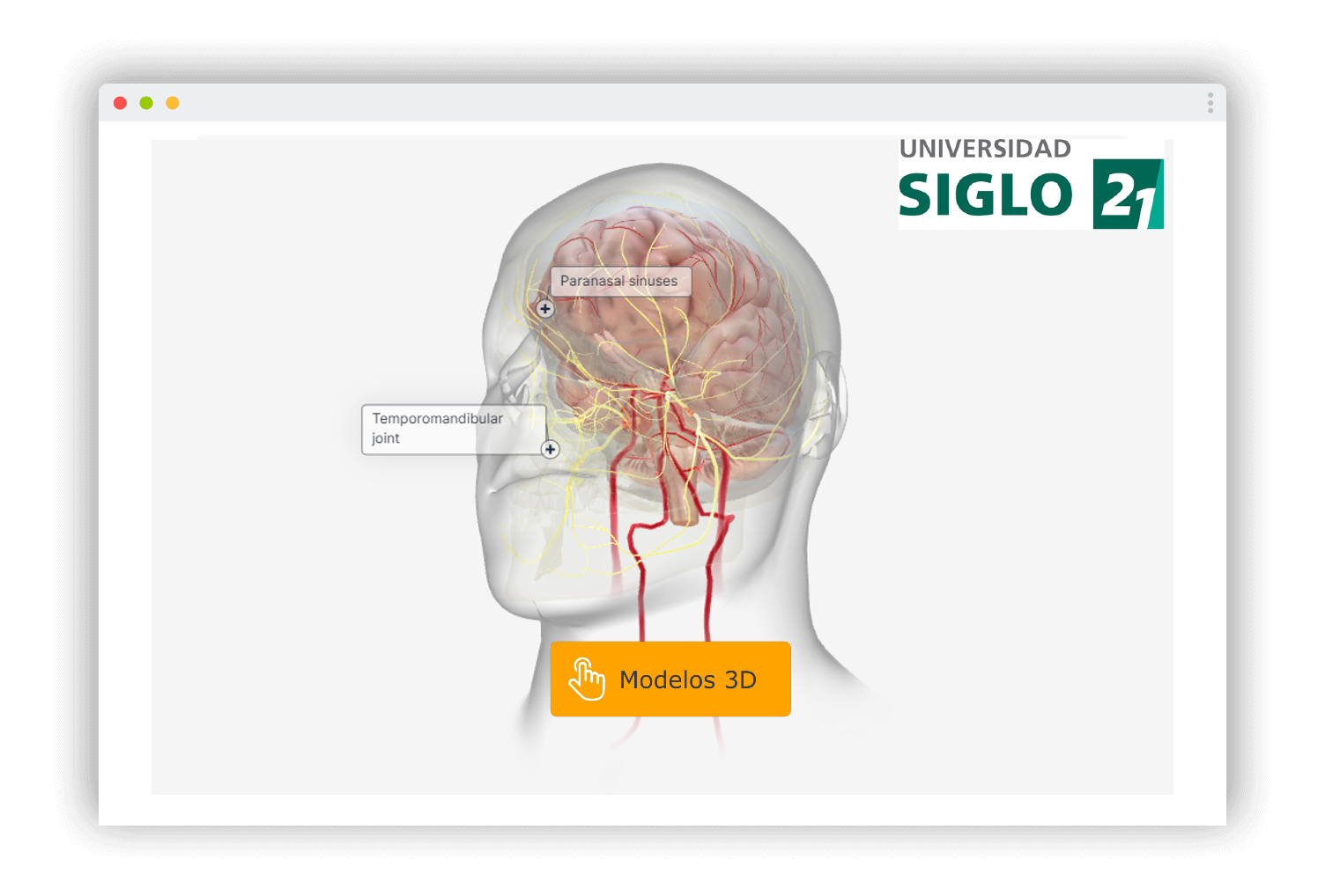 modelos 3d